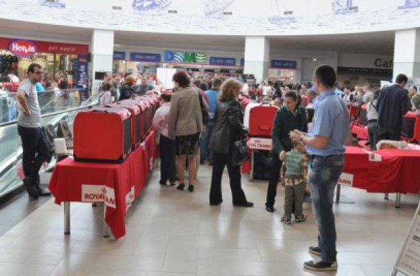 Cele mai elegante şi mai răsfăţate pisici au fost etalate la Maritimo